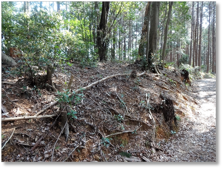 【B-AC004a07】鳶ヶ巣山砦跡〔長篠古戦場〕