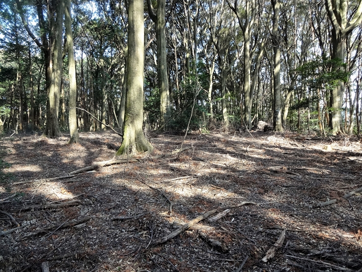 【B-AC004a16】徳川家康本陣跡（八剱神社）〔長篠古戦場〕