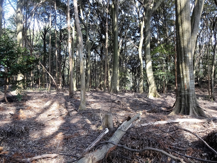 【B-AC004a16】徳川家康本陣跡（八剱神社）〔長篠古戦場〕