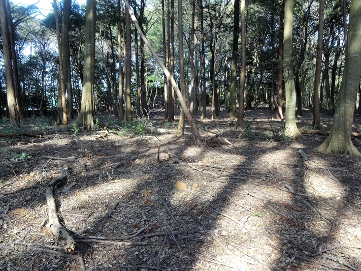 【B-AC004a16】徳川家康本陣跡（八剱神社）〔長篠古戦場〕