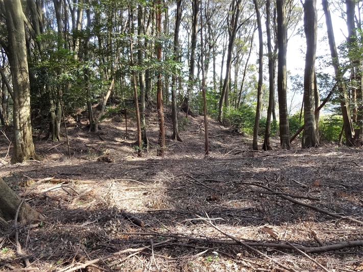 【B-AC004a16】徳川家康本陣跡（八剱神社）〔長篠古戦場〕