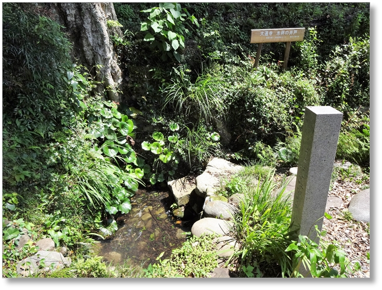 【B-AC004a02】大通寺山陣所跡〔長篠古戦場〕