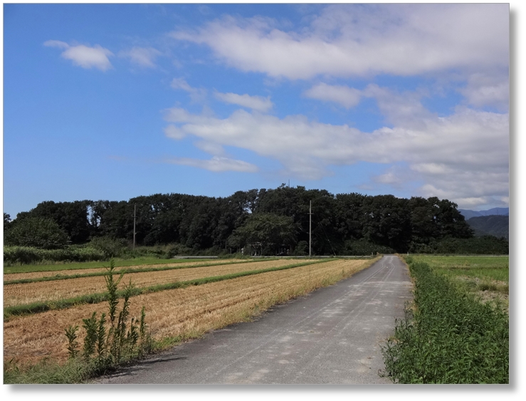 【B-SG001c】徳川家康本陣跡(岡山)〔姉川古戦場〕