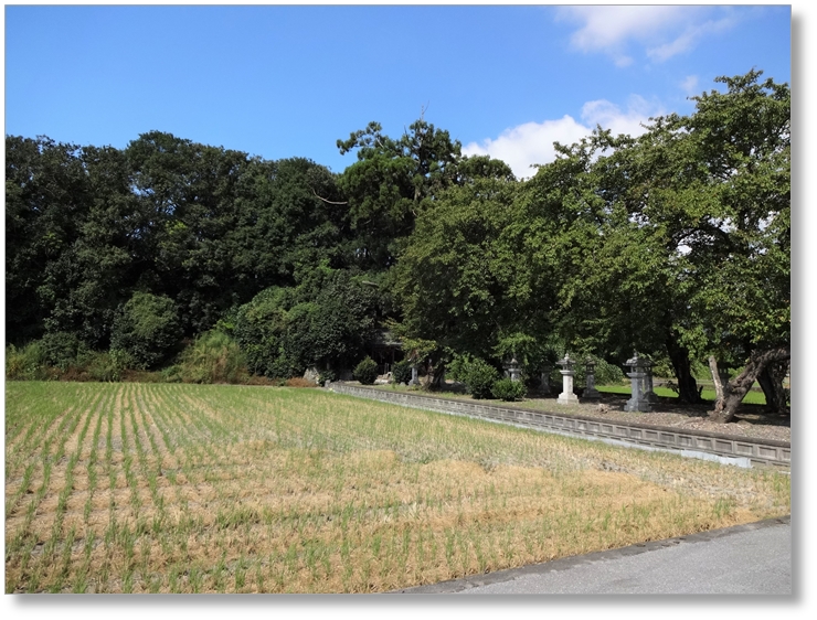 【B-SG001c】徳川家康本陣跡(岡山)〔姉川古戦場〕