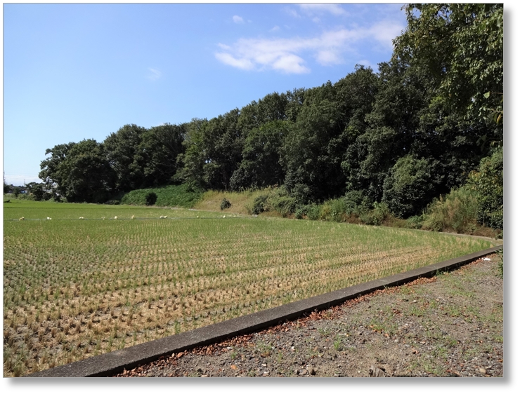 【B-SG001c】徳川家康本陣跡(岡山)〔姉川古戦場〕