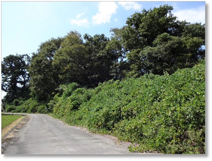 【B-SG001c】徳川家康本陣跡(岡山)〔姉川古戦場〕