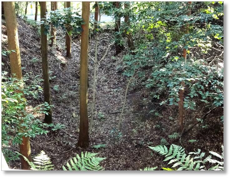 【C-AC023】野田城跡