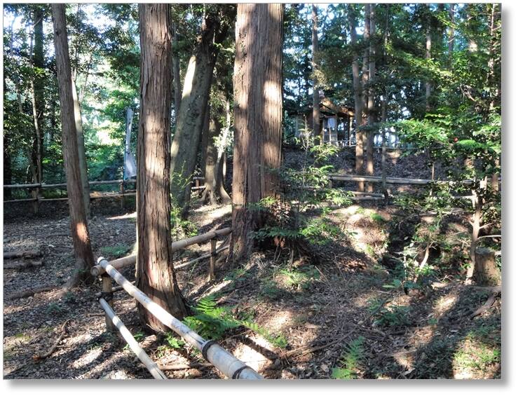 【C-AC023】野田城跡