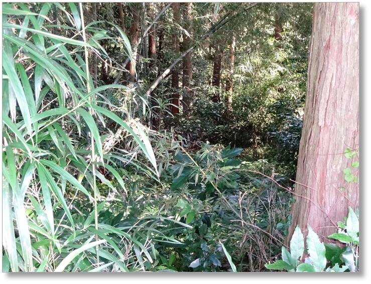 【C-AC092】小川路城跡