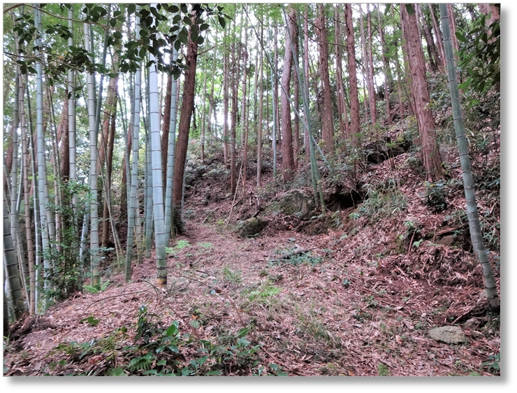 【C-AC130】霧山白山城跡