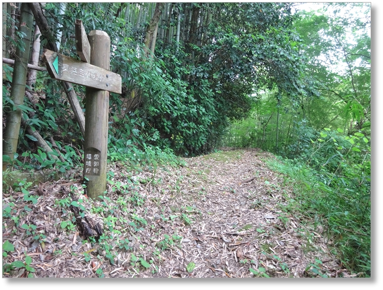 【C-AC184】臼木ヶ峰城跡