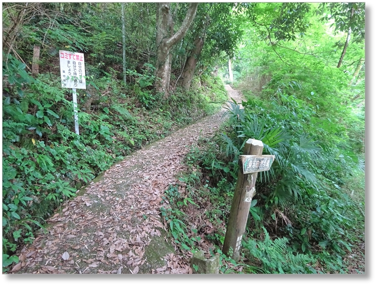 【C-AC184】臼木ヶ峰城跡