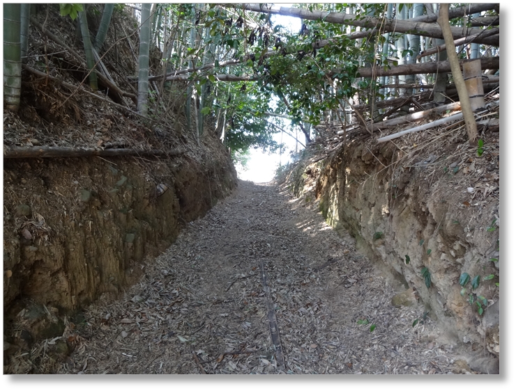 【C-AC234】城の腰城跡