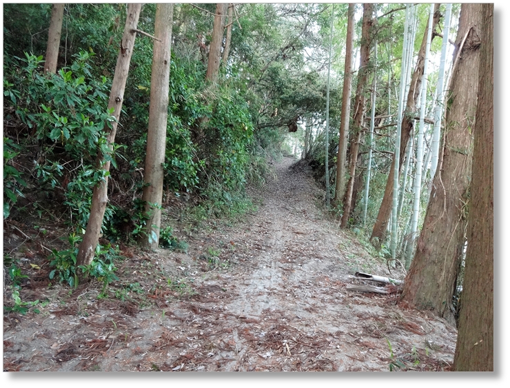 【C-AC249】岩広城跡