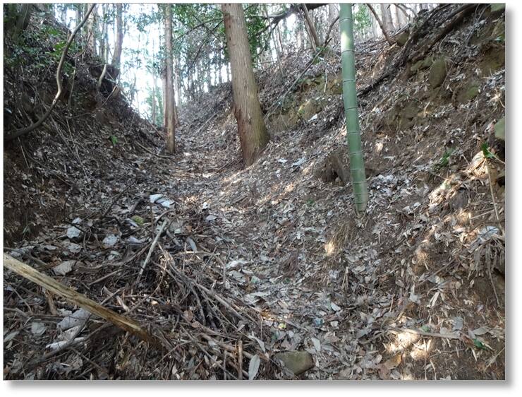 【CAC271】秦梨城跡