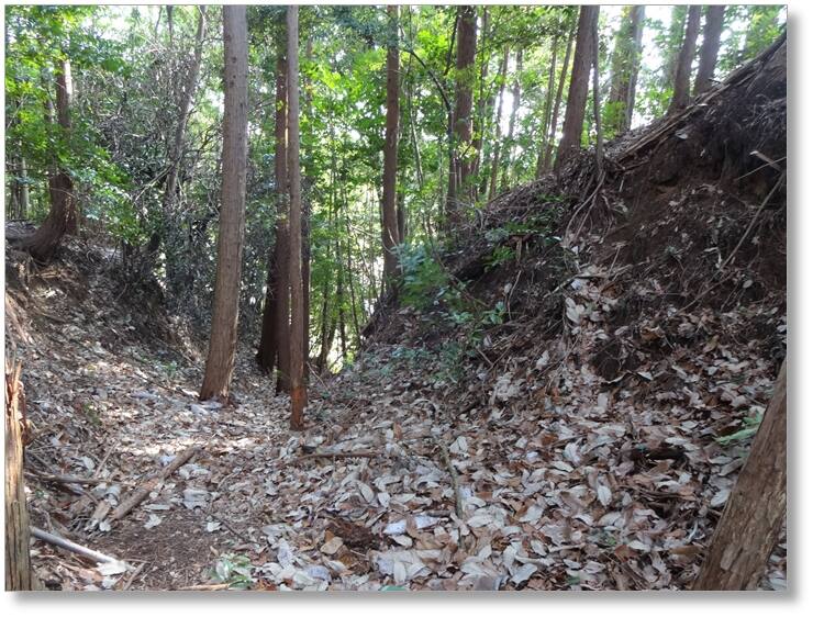 【CAC271】秦梨城跡