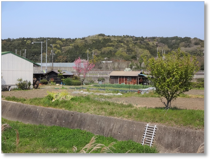 【C-AC298】本宿古城跡