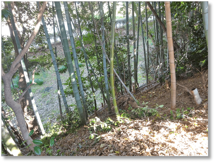 【C-AC340】山崎城跡