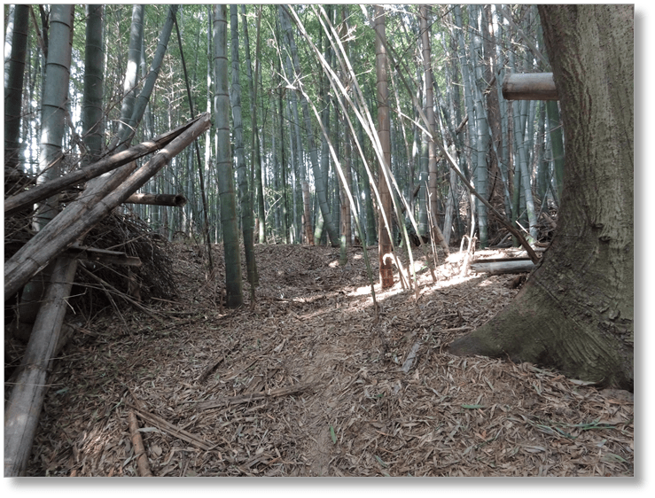 【C-AC355】岡山城跡