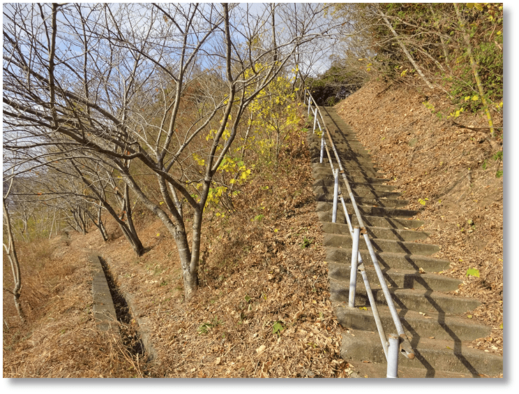 【C-AC356】鳥羽川坂城跡