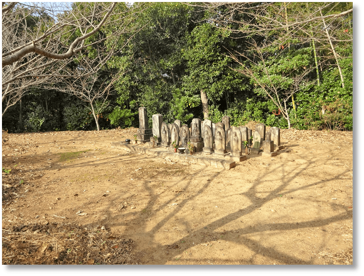 【C-AC356】鳥羽川坂城跡