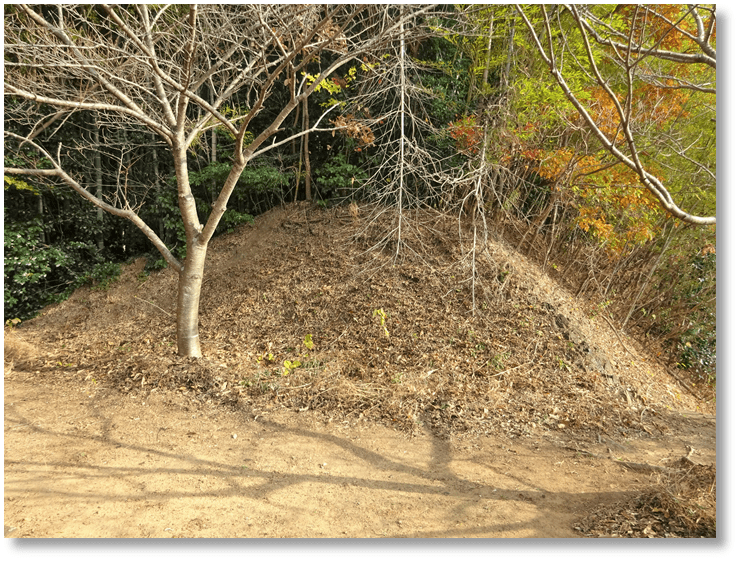 【C-AC356】鳥羽川坂城跡