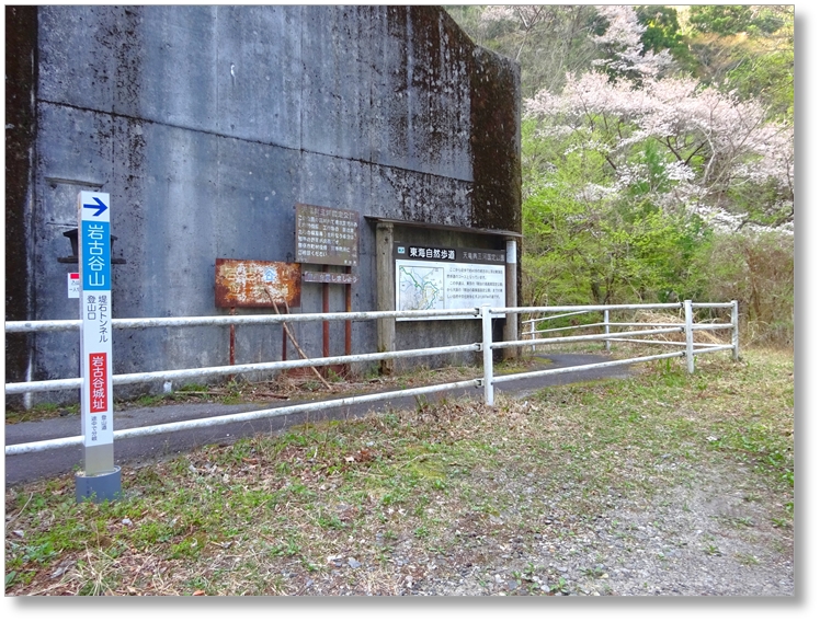 【C-AC493】岩古谷城跡