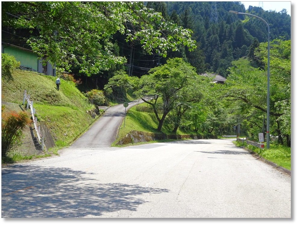 【C-AC503】川手古城跡