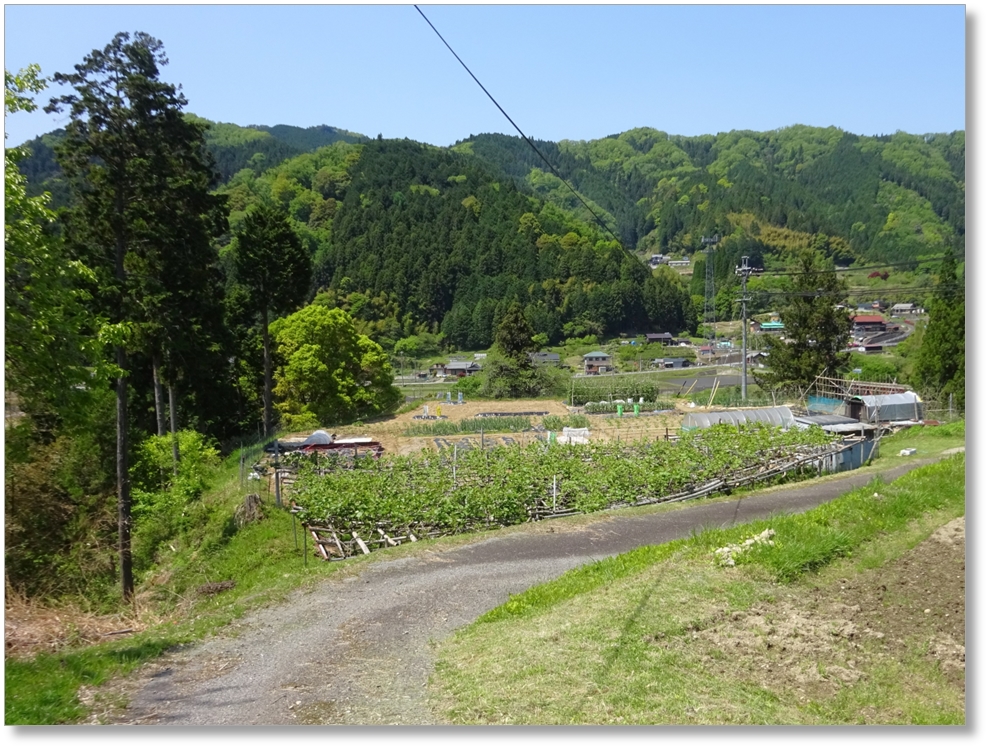 【C-AC503】川手古城跡