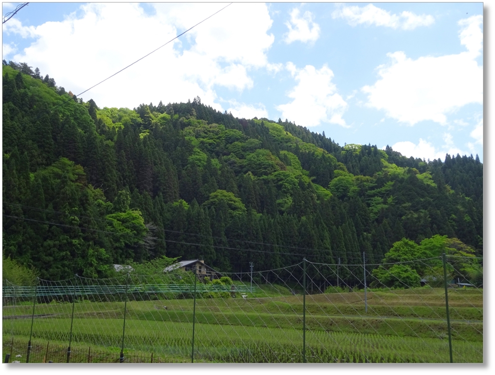 【C-AC507】押山城跡