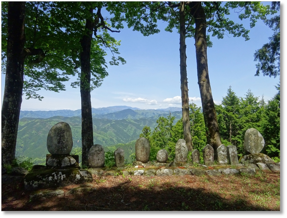 【C-AC509】峯山砦跡