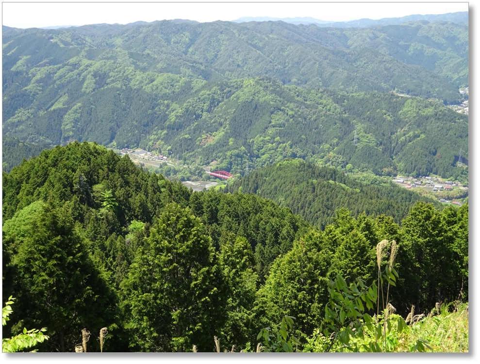 【C-AC509】峯山砦跡