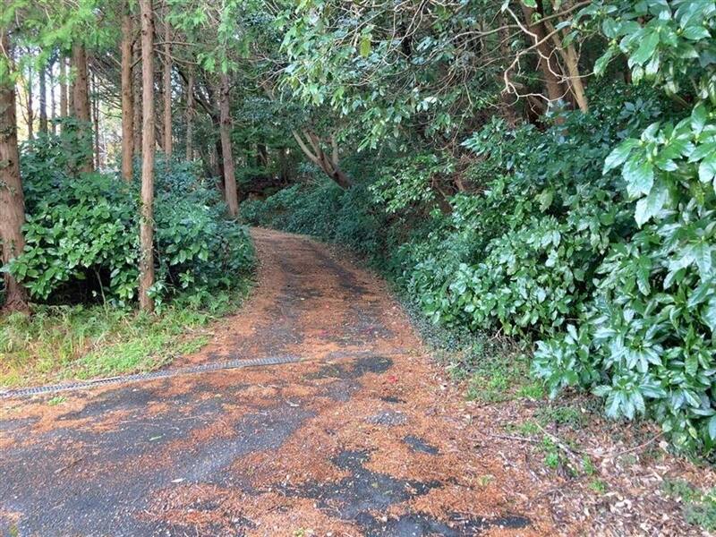 【C-AC557】左京殿城跡