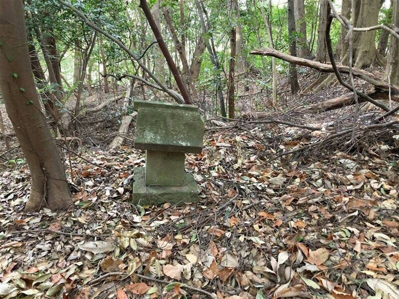 【C-AC557】左京殿城跡