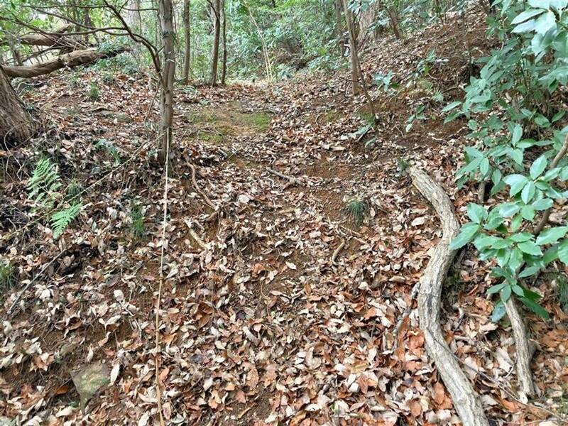 【C-AC557】左京殿城跡