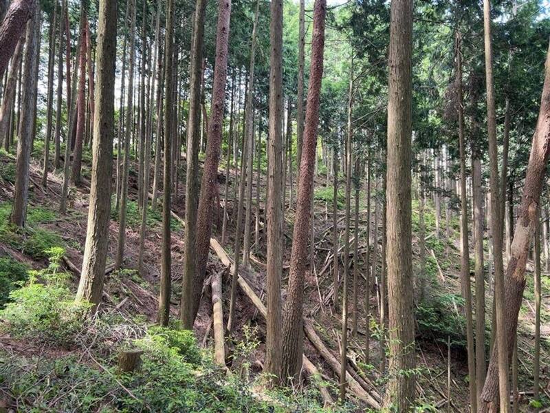 【C-AC609】坂城跡