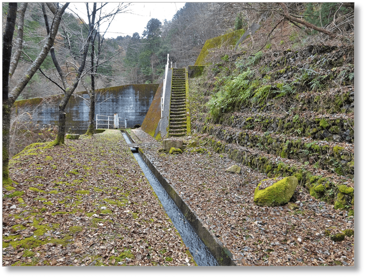 【C-GF050】阿寺城跡