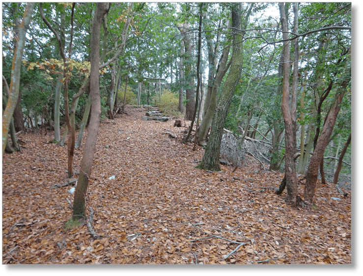 【C-GF050】阿寺城跡