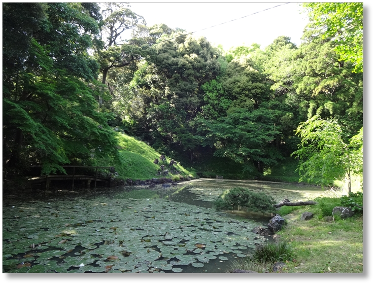 【T-SZ015】大福寺