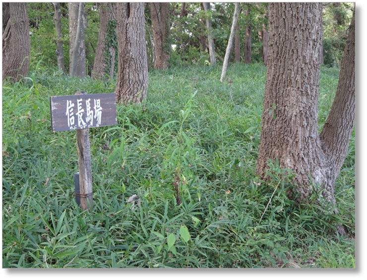 【C-SG010】虎御前山城跡