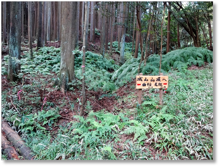 【C-SG020】小堤城山城跡