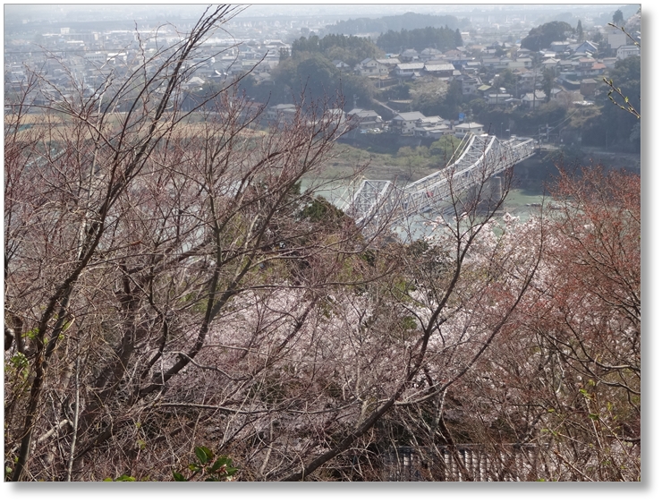 【C-SZ014】鳥羽山城跡