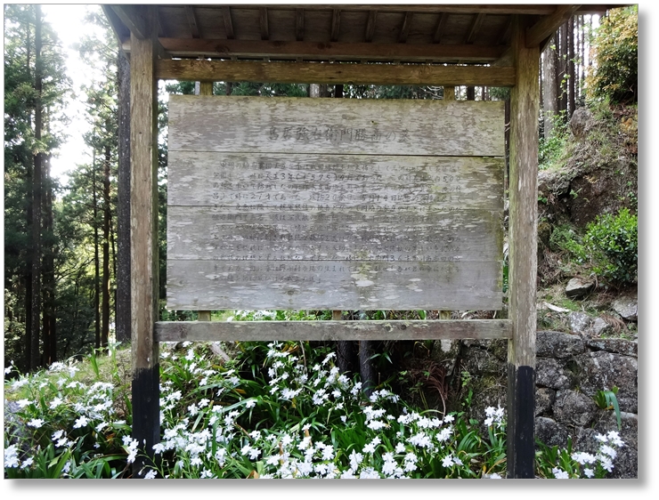 【K-AC082】鳥居強右衛門勝商墓所〔甘泉寺〕