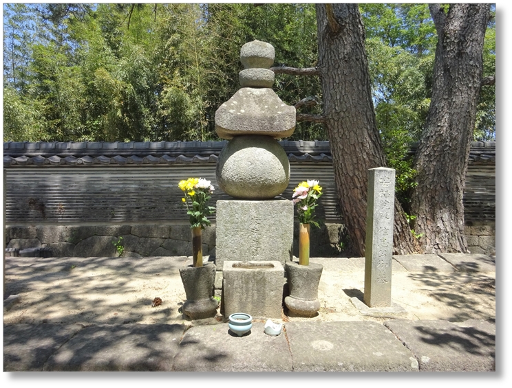 【K-AC186】松平氏八代墓所〔大樹寺〕