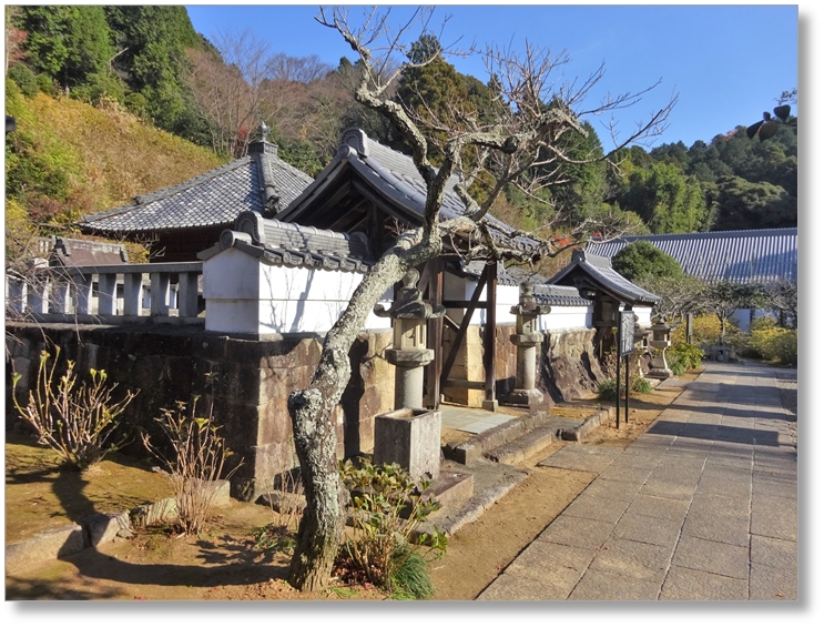 【K-AC188】深溝松平氏墓所〔本光寺〕