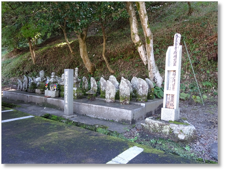 【T-GF004】天龍寺