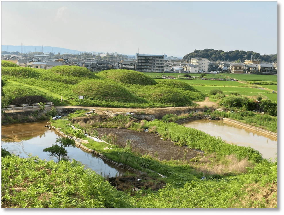 【K-NR104】新沢千塚古墳群