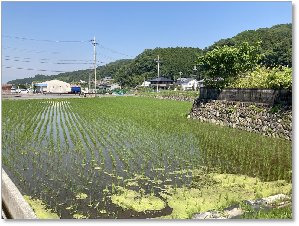 【P-NR017】泊瀬朝倉宮伝承地(脇本遺跡)