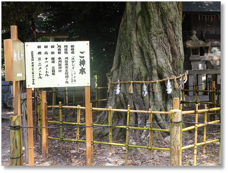 【S-AC040】本刈谷神社