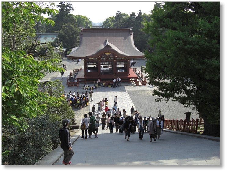 【S-KN001】鶴岡八幡宮